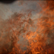 The fire that consumed Ingalls’s camera.